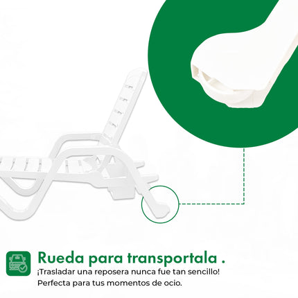 Set 2 Resposeras Toronto + Mesa Puket